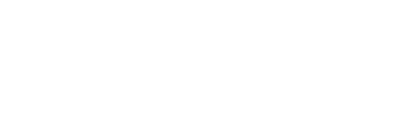 Leaders League